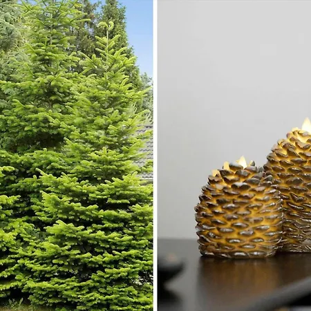 0660-toftlund-vestskoven-8 Prázdninový dům