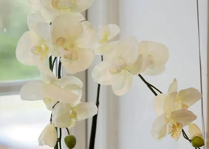 0660-toftlund-vestskoven-8 * Toftlund